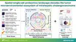 Spatial single-cell proteomics landscape decodes the tumor microenvironmental ecosystem of intrahepatic cholangiocarcinoma 